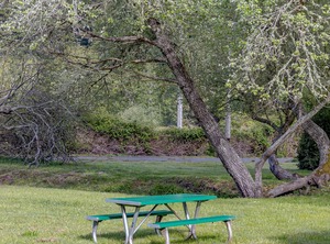 Elk Meadow Prairie Creek Orick | Orick