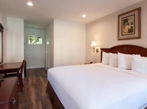 Culver City | Studio City