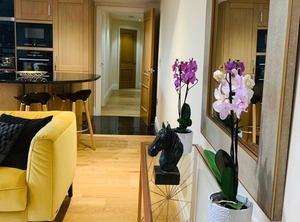 Canary Wharf | Sands End