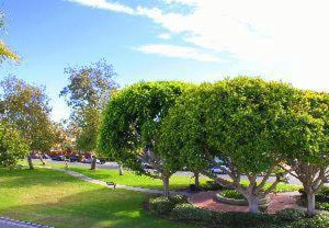 The Pacific Inn | Old Towne