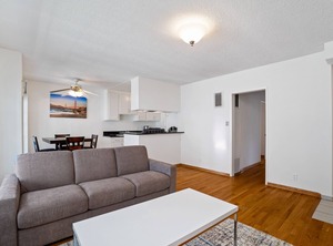 The Vinton | Palms