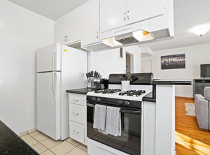 The Vinton | Palms