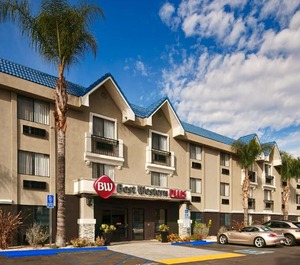 Diamond Valley Inn 