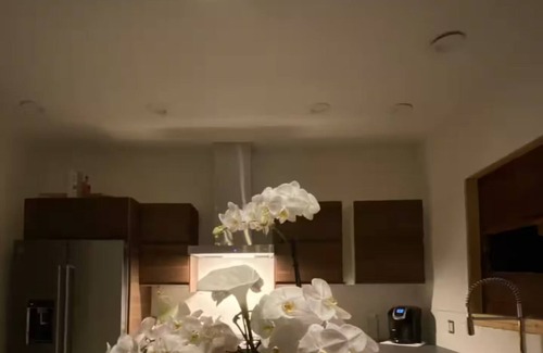 Oak Park House | 1 bedroom downtown upscale details