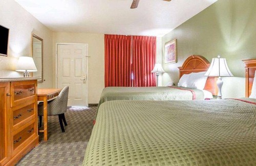 Delano Hotel | 30 m² Hotel ∙ 127 guests