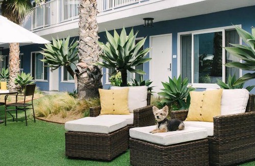 Ocean Park Hotel | 30 m² Hotel ∙ 127 guests