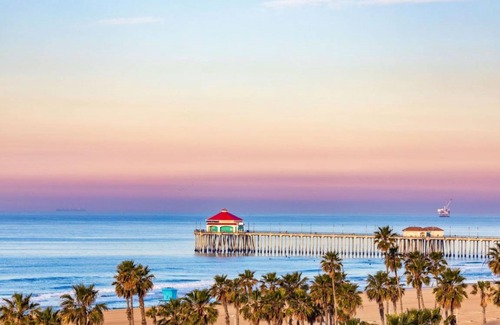 Anaheim Resort Hostel | 300 m² Hostel ∙ 6 guests