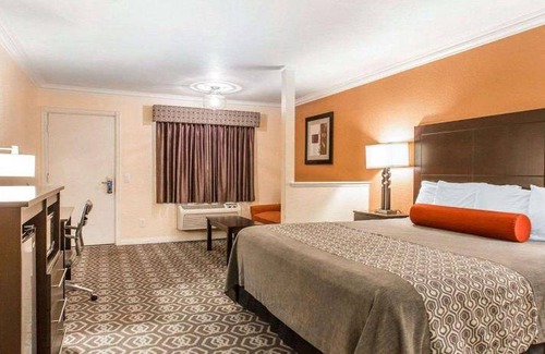 Colton Hotel | 35 m² Hotel ∙ 127 guests