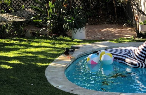 Sunset Park House | 46 m² House ∙ 1 bedroom ∙ 2 guests