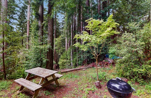 Arcata Apartment | 58 m² Studio flat ∙ 2 guests