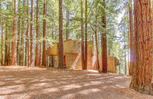 Anchor Bay Cabin | 98 m² Cabin ∙ 1 bedroom ∙ 4 guests