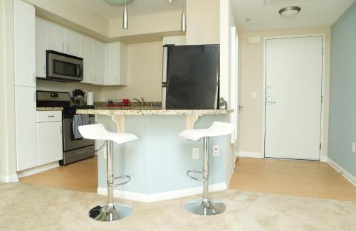 Miracle Mile Apartment | Amazing Apartments near the grove