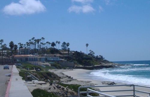 Beach Barber Tract Apartment | Beautiful Oceanview Getaway Just Steps from Windansea Beach!