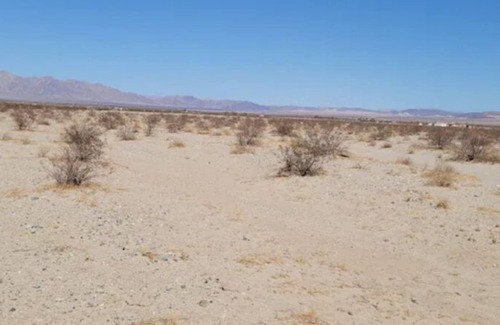 Twentynine Palms RV Rental | Beautiful Stars & Moon view