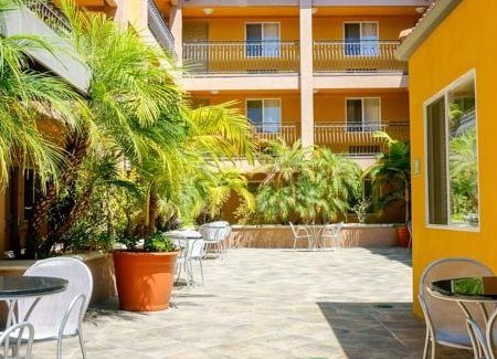 Tree Section Hotel | BEST WESTERN PLUS Manhattan Beach Hotel