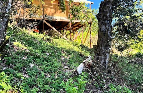 Redwood City Other | Camping ∙ 1 bedroom ∙ 3 guests