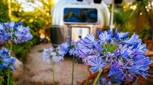 Ojai Other | Caravan Outpost