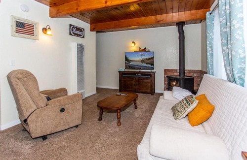 Big Bear City House | Cub Paws