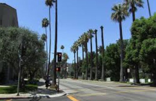 Hollywood Dell Apartment | Hollywood Hills Retreat B