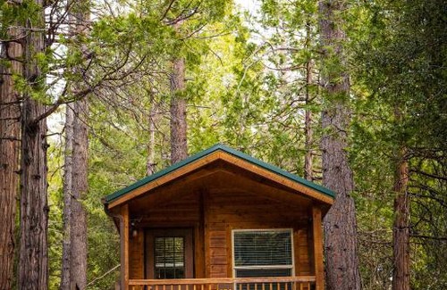 Pine Cove Resort | Idyllwild Camping Resort Cabin