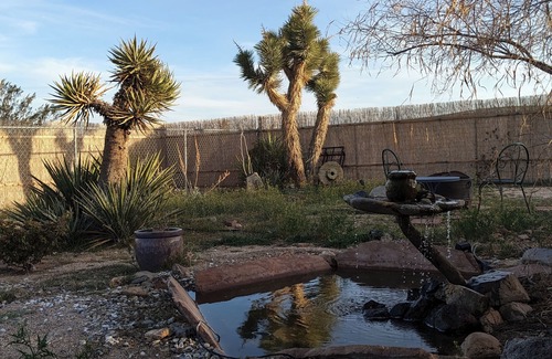 Yucca Valley House | Kickapoo Gardens Oasis