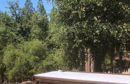 Groveland House | Modern Yosemite Lakehouse w/ Spa Pool Private Dock 3 King Beds Luxury Bedding