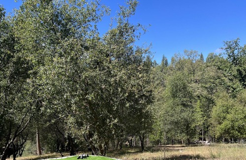 Groveland House | Modern Yosemite Lakehouse w/ Spa Pool Private Dock 3 King Beds Luxury Bedding
