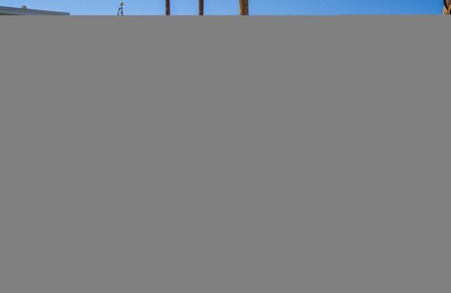 Desert Park Estates House | Monkey Tree Hotel 14