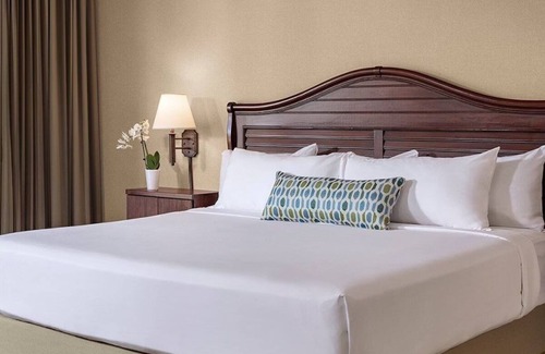 Central Mission Beach Hostel | Pet-Friendly Resort King Room l Bahia Resort l Free Parking!