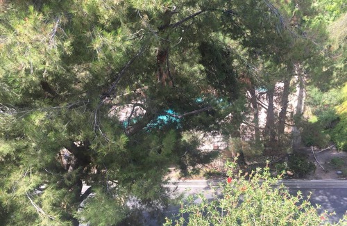 Verdugo Woodlands Resort | Private room ∙ 2 guests