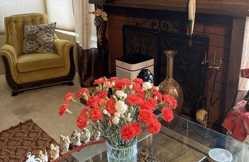 El Camino Real Resort | Private room ∙ 2 guests