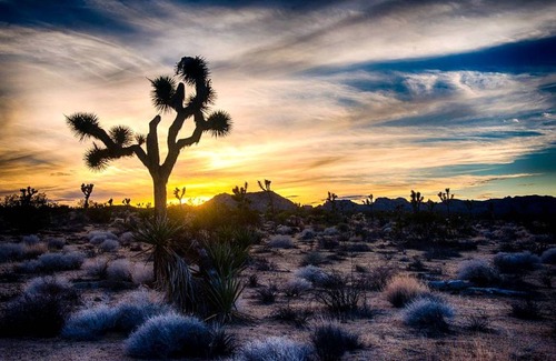 Joshua Tree RV Rental | Recreational vehicle (RV) ∙ 1 bedroom ∙ 2 guests