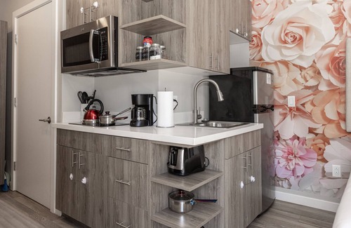 Mission Hills Apartment | San Diego Staycation 🏠 . WiFi + Cable TV + Parking