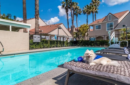 Downtown Village House | Spacious Three 2BR Units w/ Kitchens! w/ Onsite Pool, BBQ & Sports Facility!