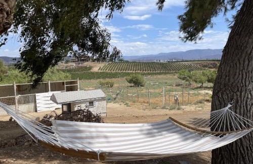 Temecula House | Temecula Rejuvenation