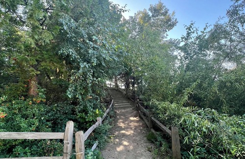 Cedar Glen House | Treehouse near the lake and shops /LAKE ACCESS /