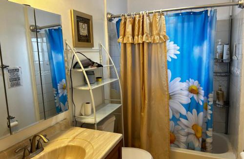 El Monte House | 洛杉矶东部花园式独立屋暂停