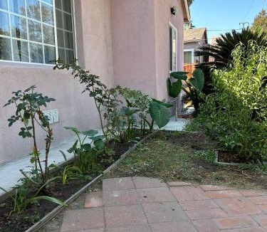 El Monte House | 洛杉矶东部花园式独立屋暂停