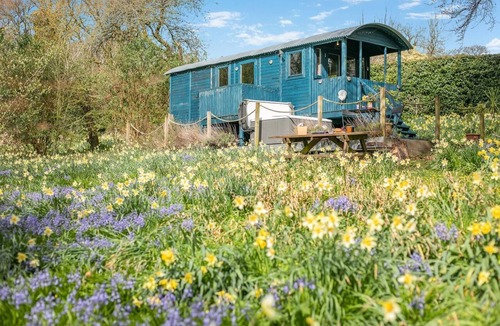 Launceston Cottage | 1 Bed in Launceston (oc-91964)