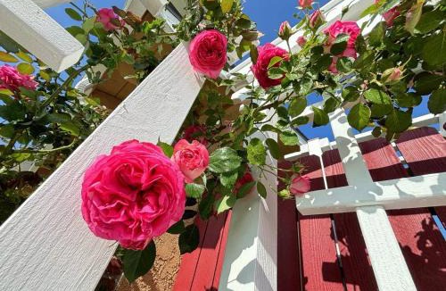 Rowland Heights House | 1 bedroom in a quiet neighborhood near the main street - Room B