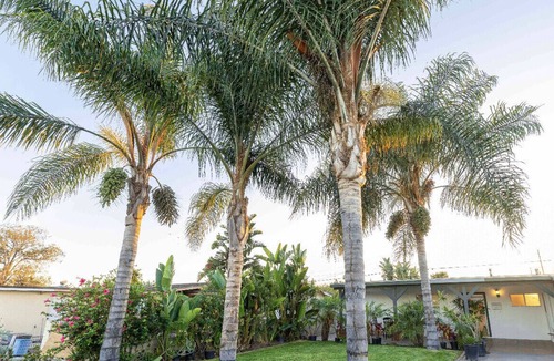 Sherwood Forest and Thistle Development House | 10001☘️☘️Spacious single house 6B4Ba near Disney and Knott's Berry Farm.