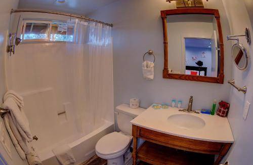 Big Bear Hotel | 139 m² Hotel ∙ 3 guests