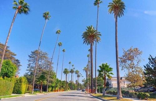Hollywood Bed & Breakfast | 140 m² Bed and breakfast ∙ 6 guests