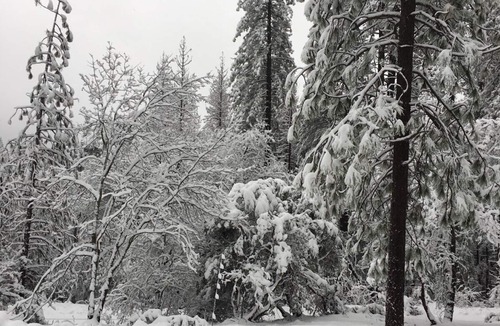 Wishon Cottage | 1940s cottage updated with todays amenities