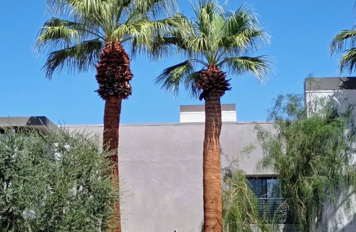 Baristo House | 28 day min stay. Sleeps 10-Pool, Hot Tub, Guest casita, Parking, Walk To Town