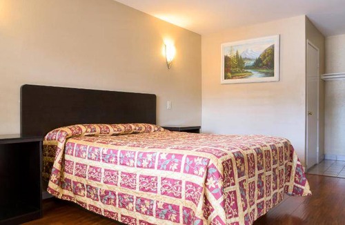 Walnut Valley Hotel | 28 m² Hotel ∙ 4 guests