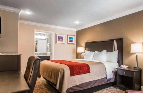 Downey Hotel | 33 m² Hotel ∙ 127 guests