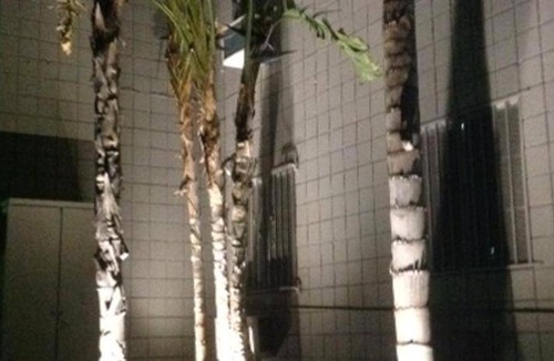Granada Hills North Hotel | 37 m² Motel ∙ 127 guests