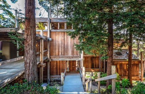 Del Monte Forest House | 3771 Serenity in the Woods ~ Like a Tree House
