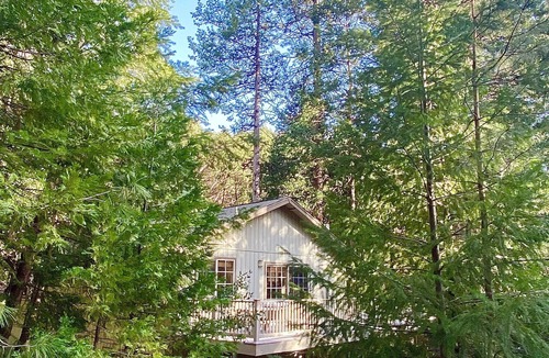 Croft Cabin | 40 Minutes to Kirkwood, 2.5 Hours to Bay, Skiing, Snow, Hot Tub, Pets OK